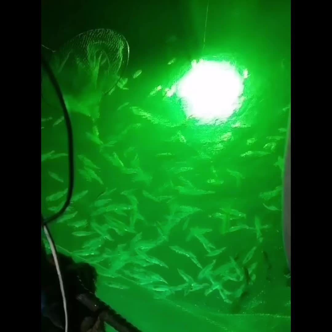 Underwater LED Fishing Light 12V 50W Stainless Steel IP68