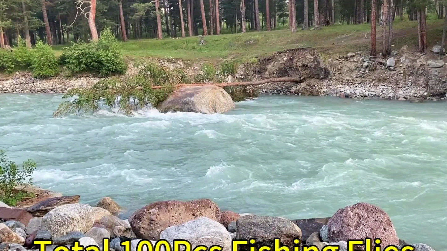 QIEVCRME Heavy Duty Fishing Fly Kit With Dry Wet Flies