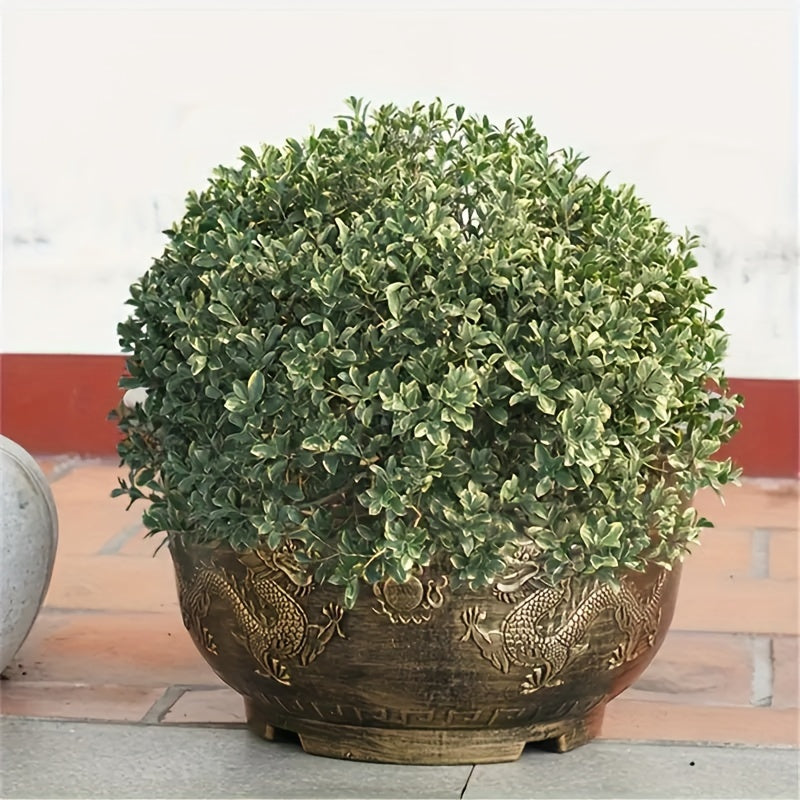 Dragon Pattern Resin Flower Pots With Drainage Holes