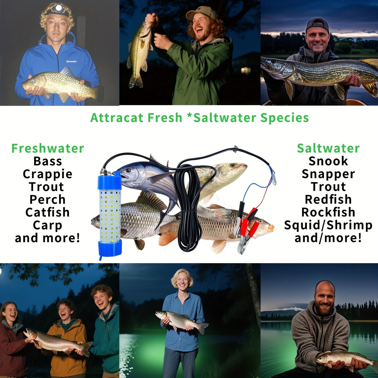 Underwater LED Fishing Light 12V 50W Stainless Steel IP68