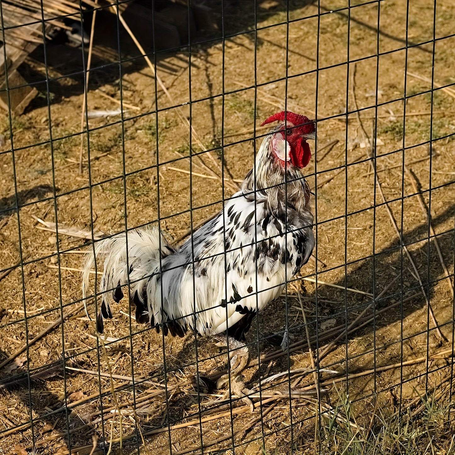 Durable Black Welded Wire Fence for Garden and Yard Protection - Parry's Picks