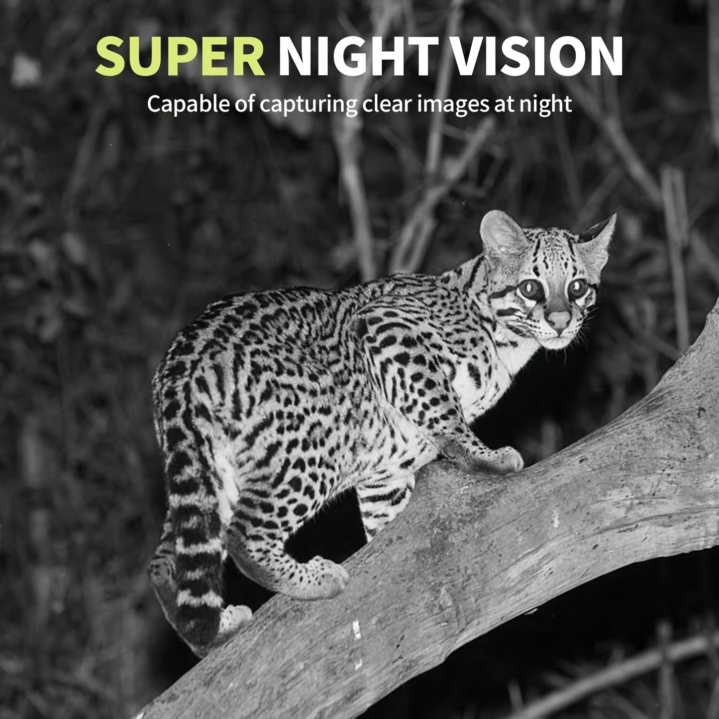 Mini Trail Camera 24MP Night Vision Motion Activated Cam