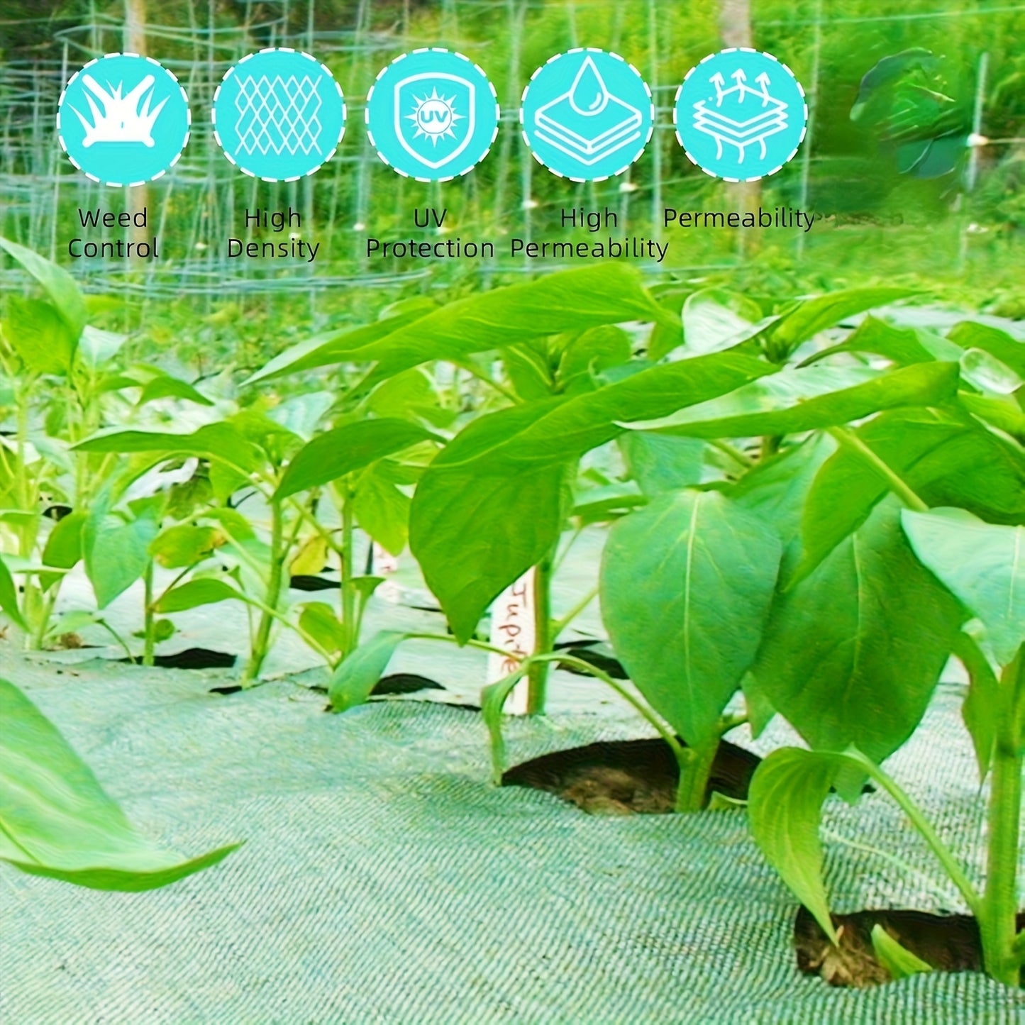 Premium Weed Barrier Landscape Fabric for Effective Weed Control - Parry's Picks