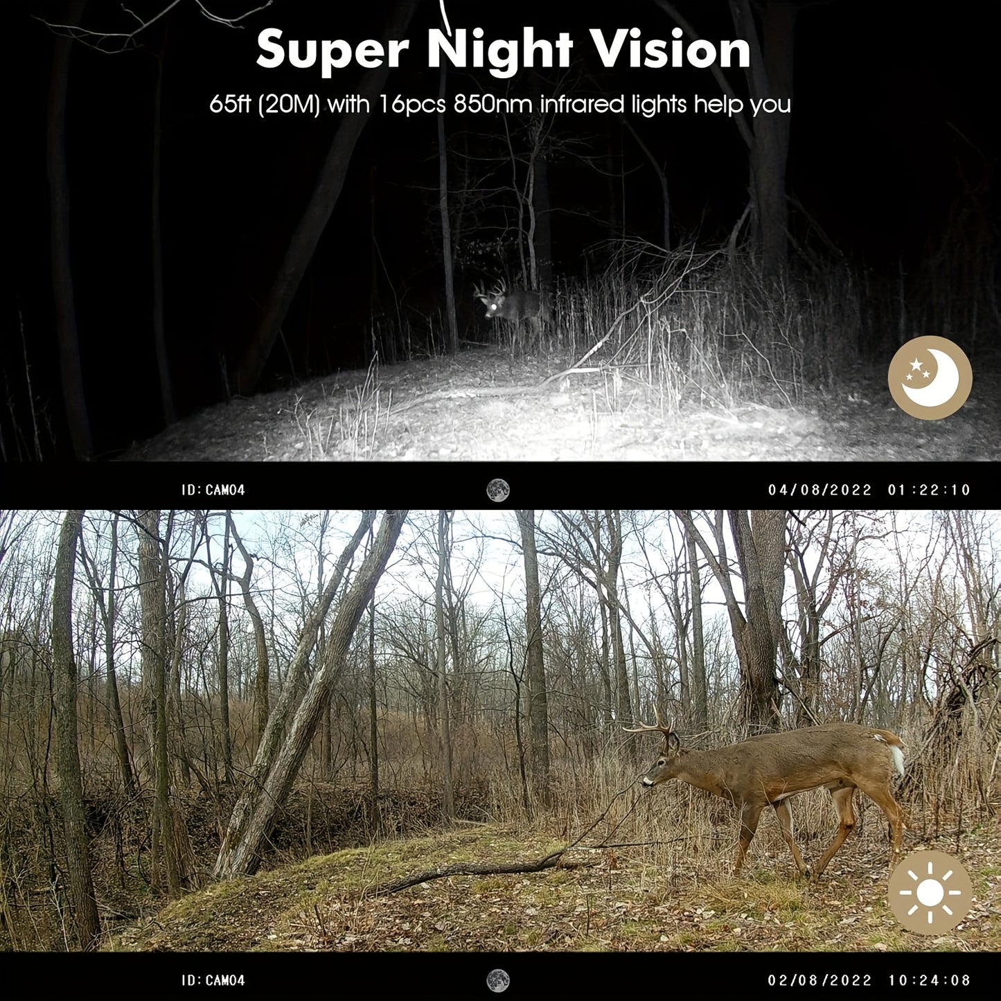 Mini Trail Camera 4K 36MP Night Vision Motion Activated