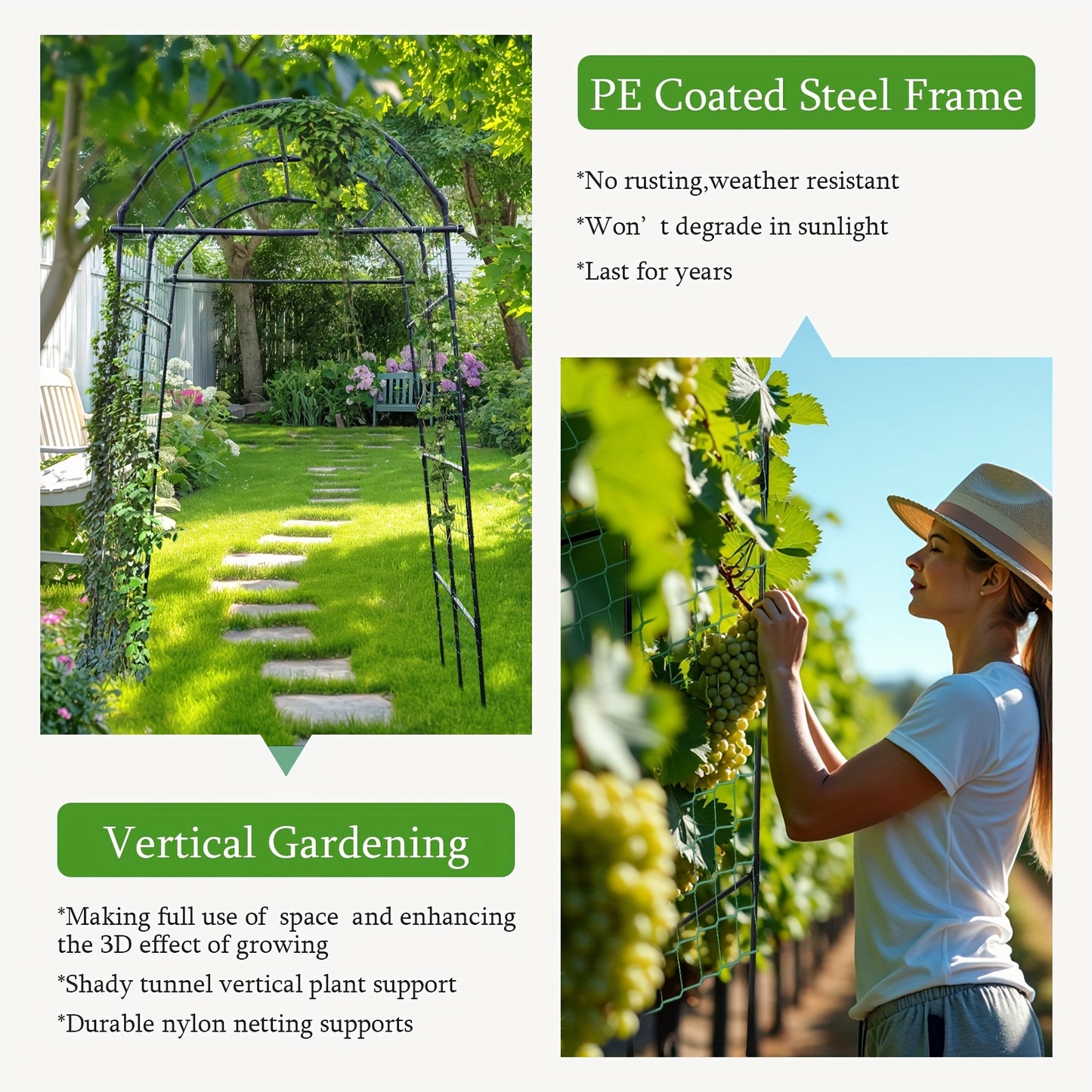 Stainless Steel Climbing Vine Trellis for Elegant Garden Elevation - Parry's Picks