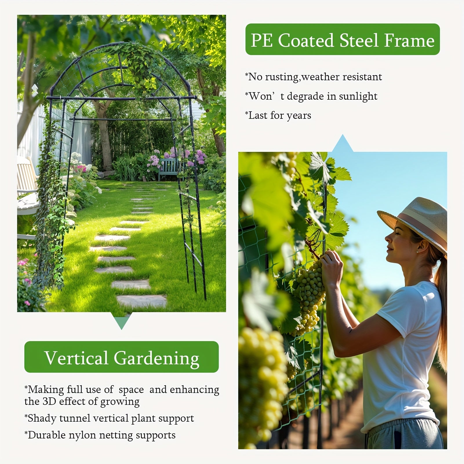 Stainless Steel Climbing Vine Trellis for Elegant Garden Elevation - Parry's Picks