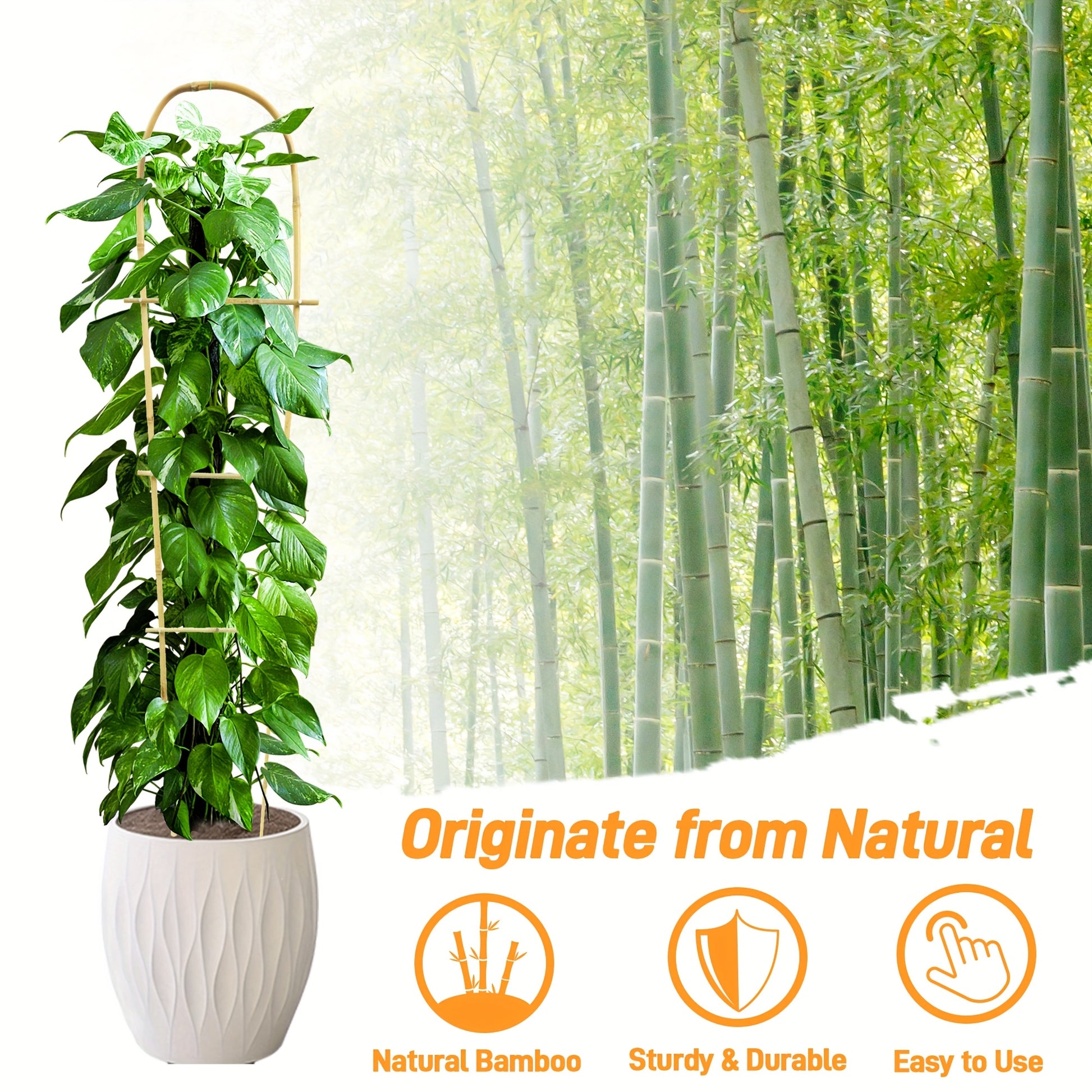Bamboo U Trellis for Climbing Plants and Indoor Houseplants - Parry's Picks