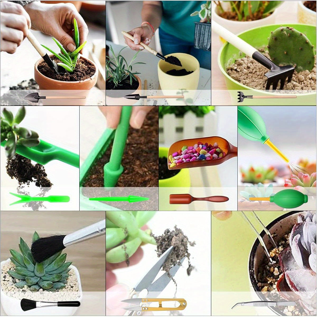 Complete Garden Tools Set with Succulent Tools and Accessories