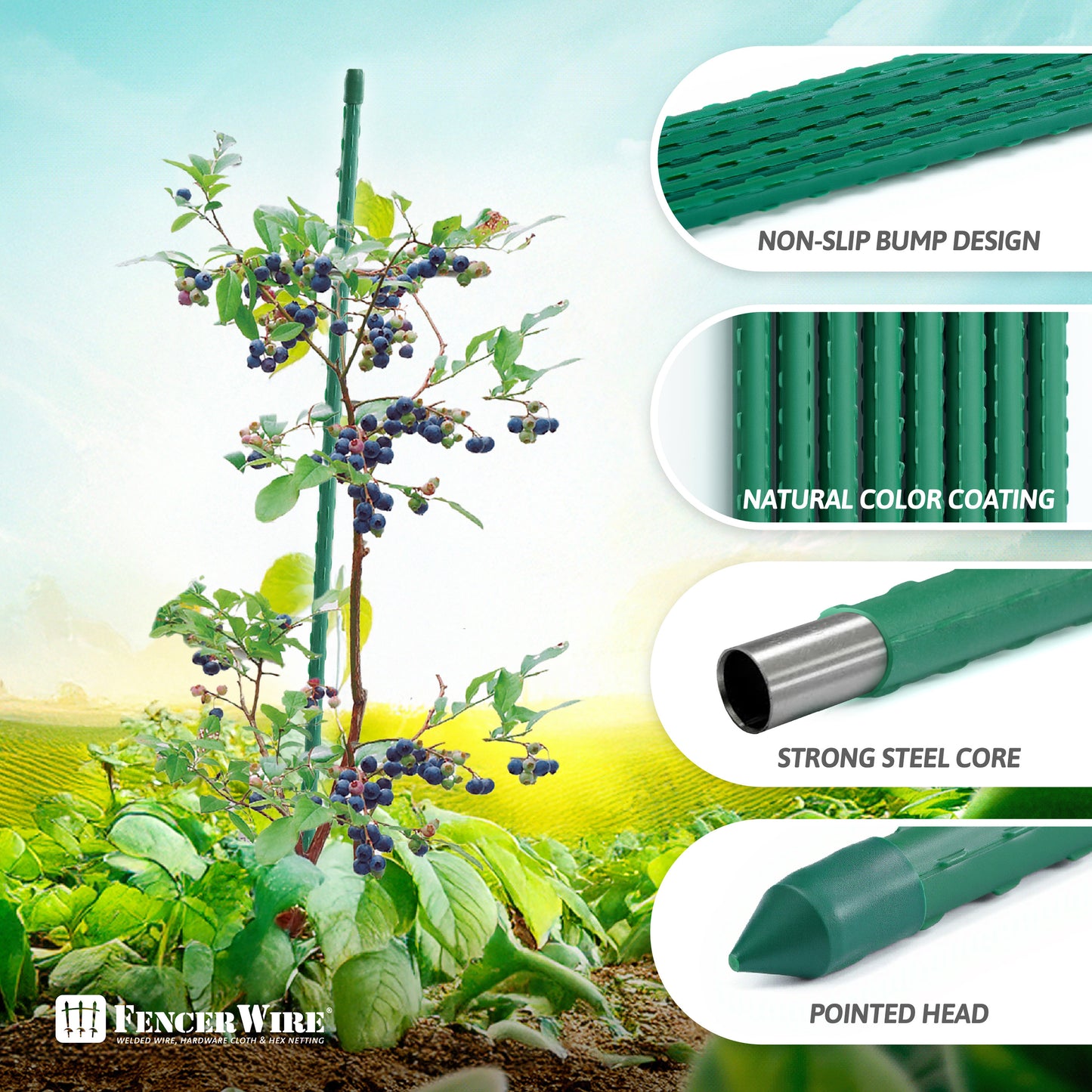 Durable Metal Plant Supports for Garden and Potted Plants - Parry's Picks
