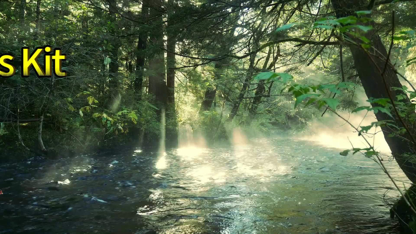 QIEVCRME Fly Fishing Flies Kit 100pcs Dry Wet Lures