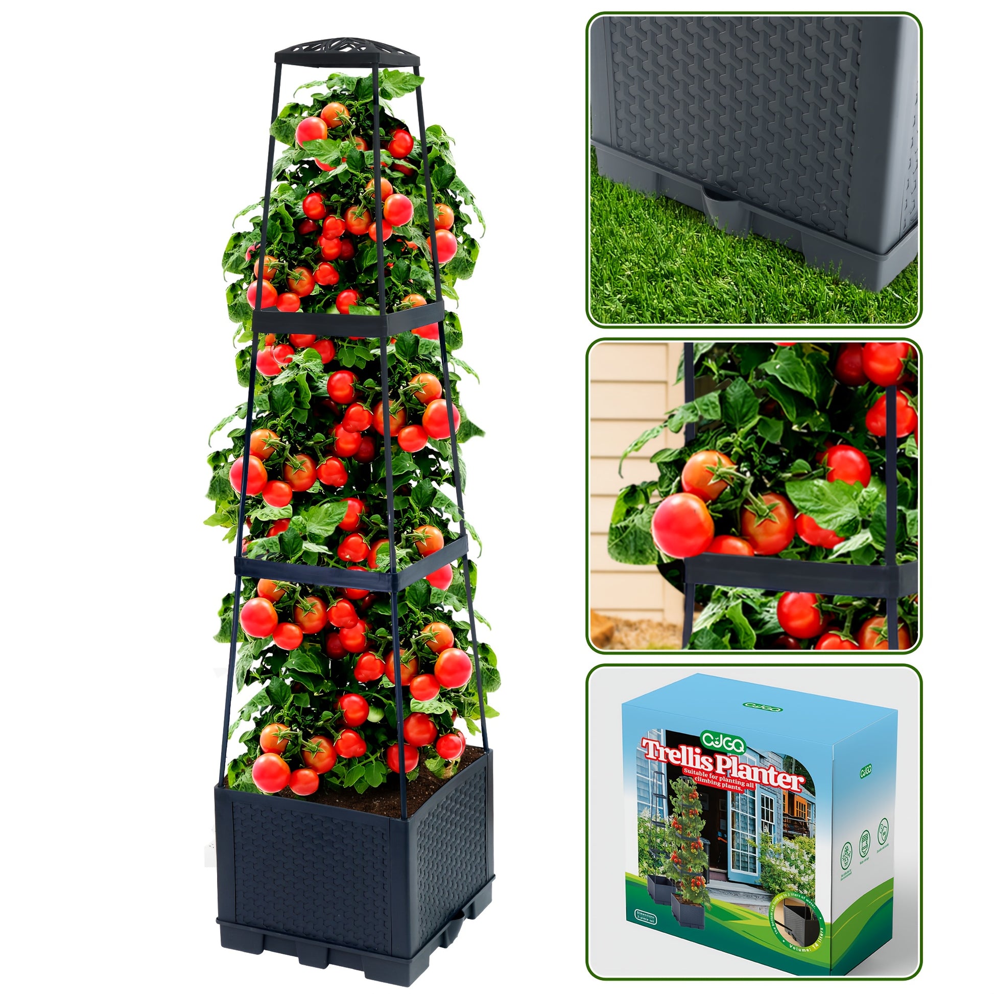 Tomato Planting Box with Self-Watering Cage for Climbing Plants - Parry's Picks