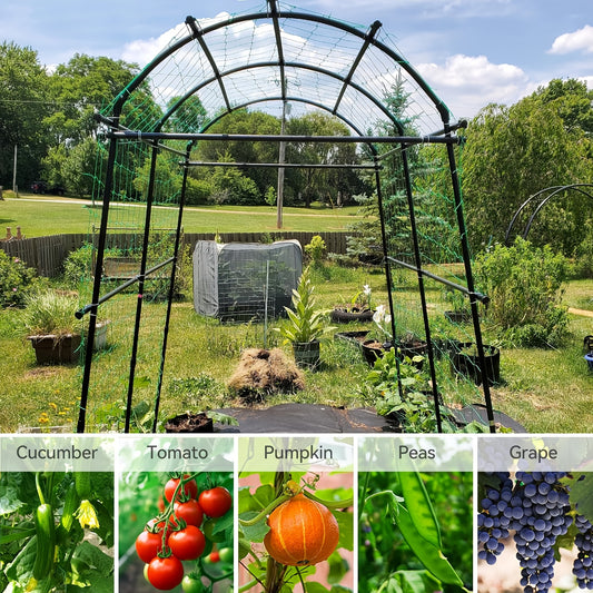 Stainless Steel Climbing Vine Trellis for Elegant Garden Elevation - Parry's Picks