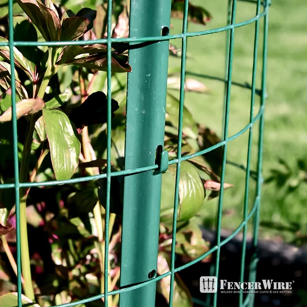 Vinyl Coated Welded Wire Mesh for Durable Fencing Solutions - Parry's Picks