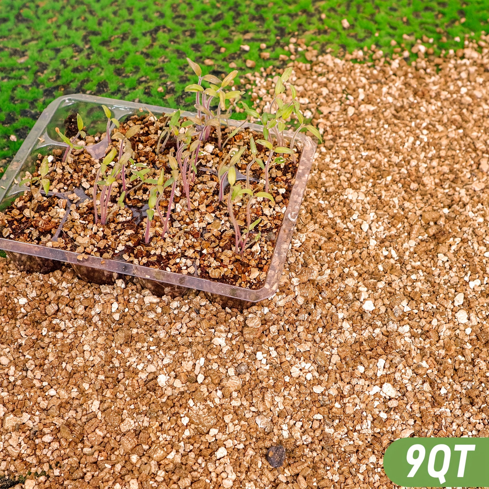 Coarse Horticultural Vermiculite for Potted Plants and Gardening - Parry's Picks