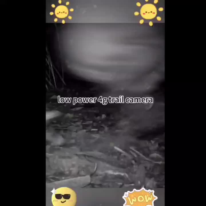 LTE Cellular Trail Camera With Live Streaming HD Night Vision - Parry's Picks