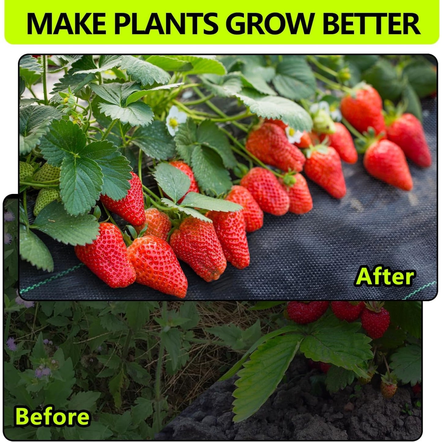 Heavy Duty Weed Barrier Fabric for Effective Garden Protection - Parry's Picks