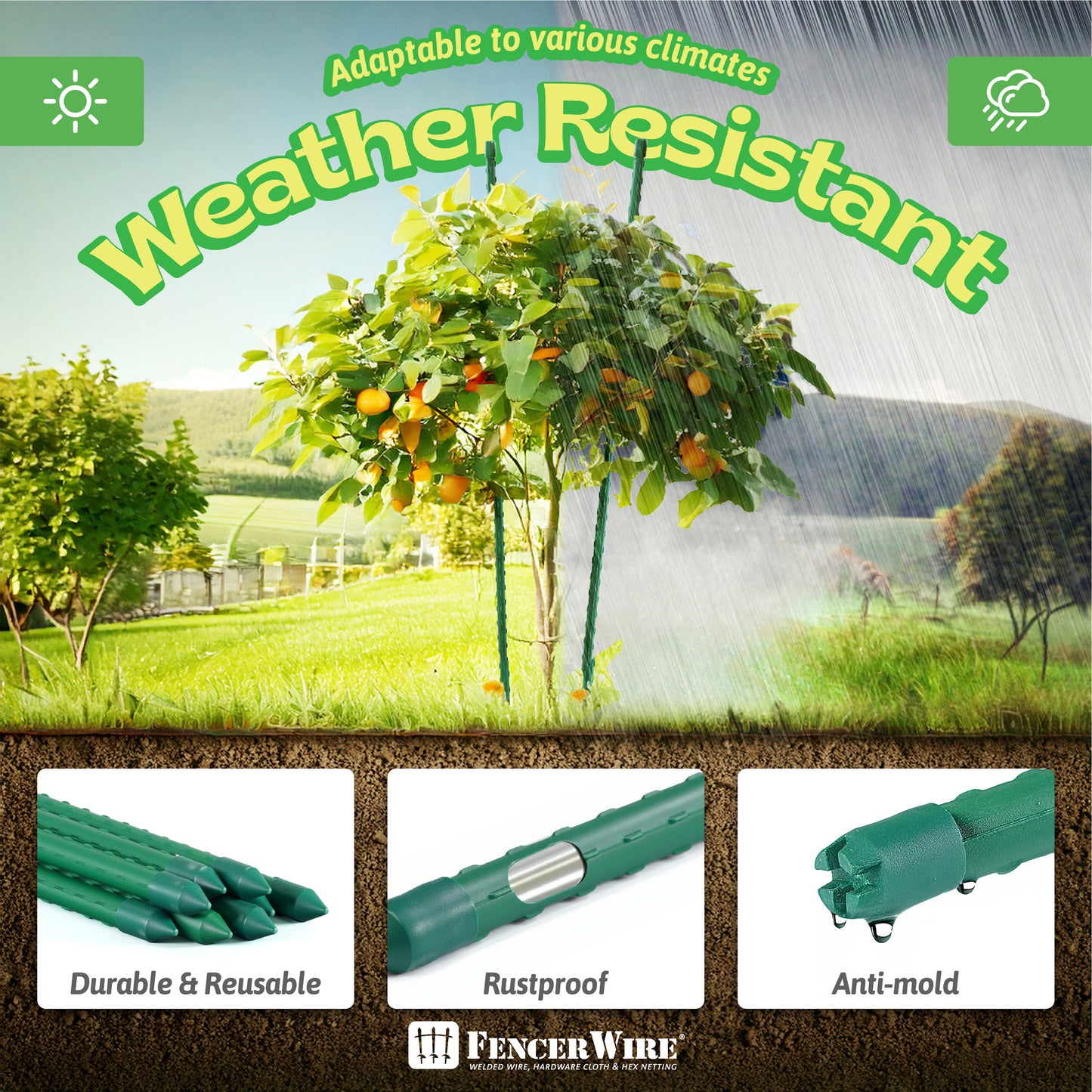 Durable Metal Plant Supports for Garden and Potted Plants - Parry's Picks