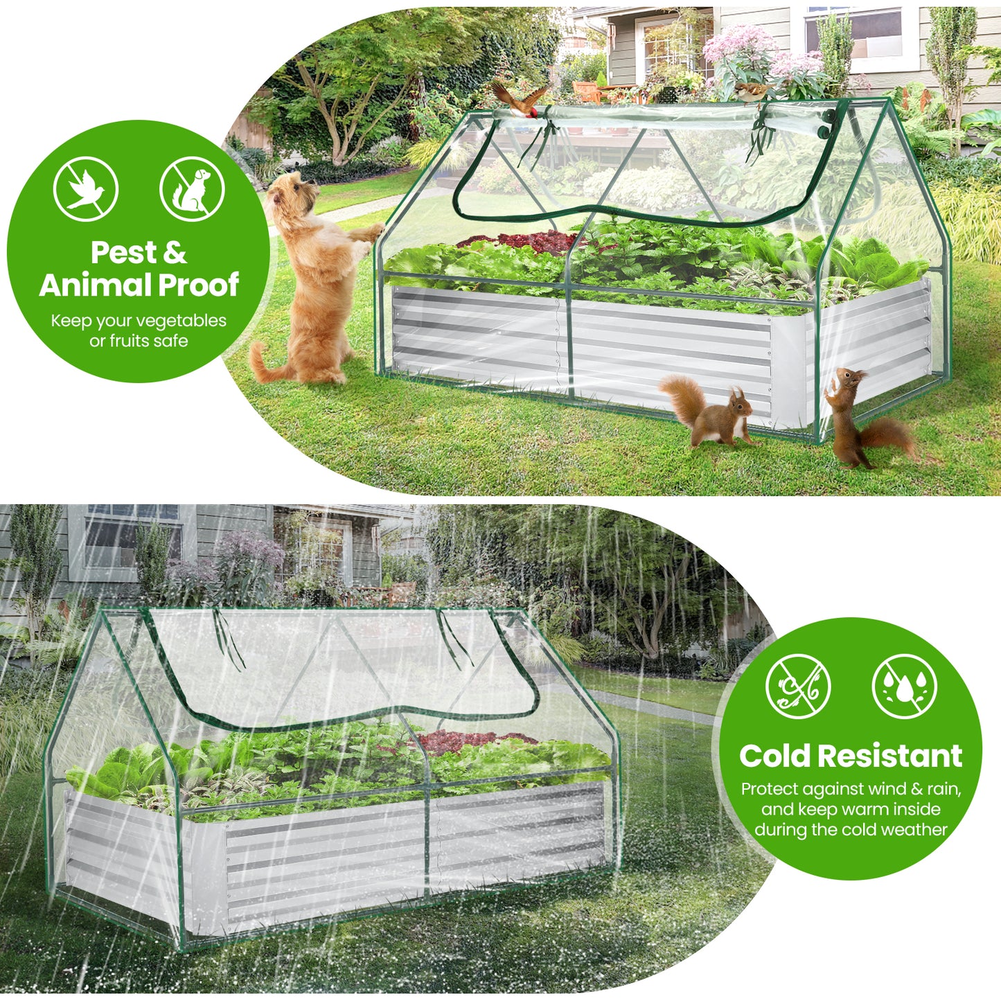 Galvanized Raised Garden Bed With Cover And Greenhouse Kit