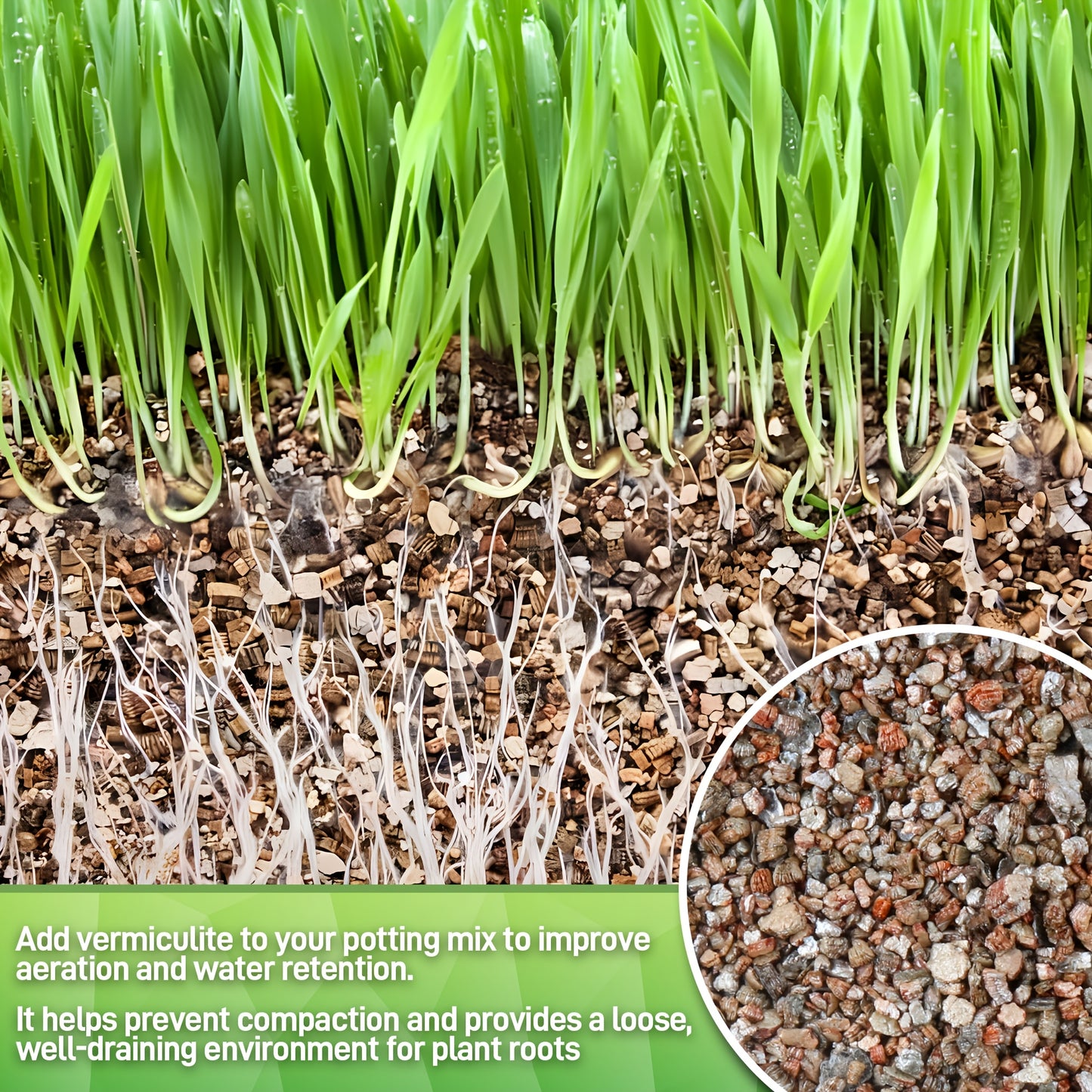 Coarse Horticultural Vermiculite for Potted Plants and Gardening - Parry's Picks