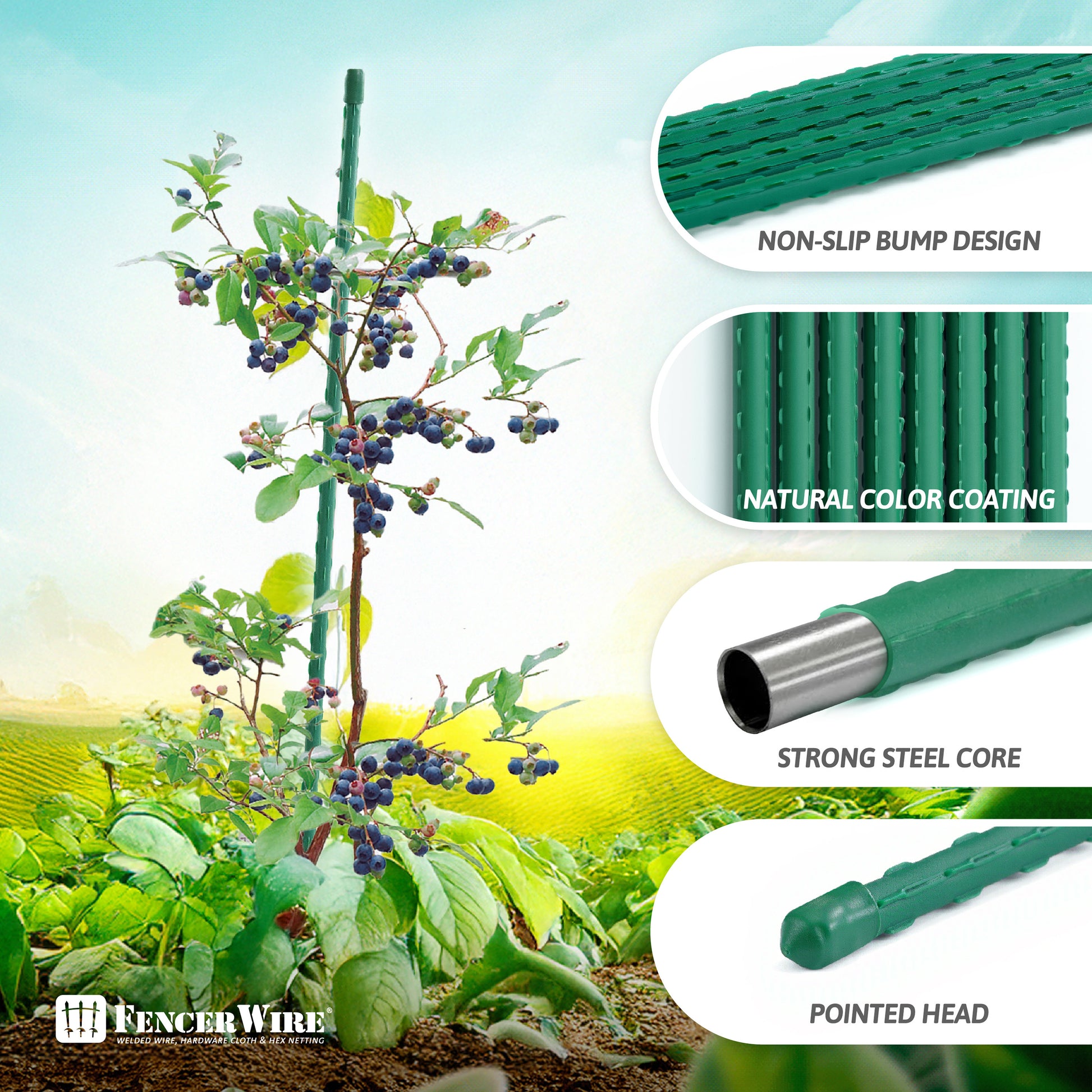 Durable Metal Plant Supports for Garden and Potted Plants - Parry's Picks