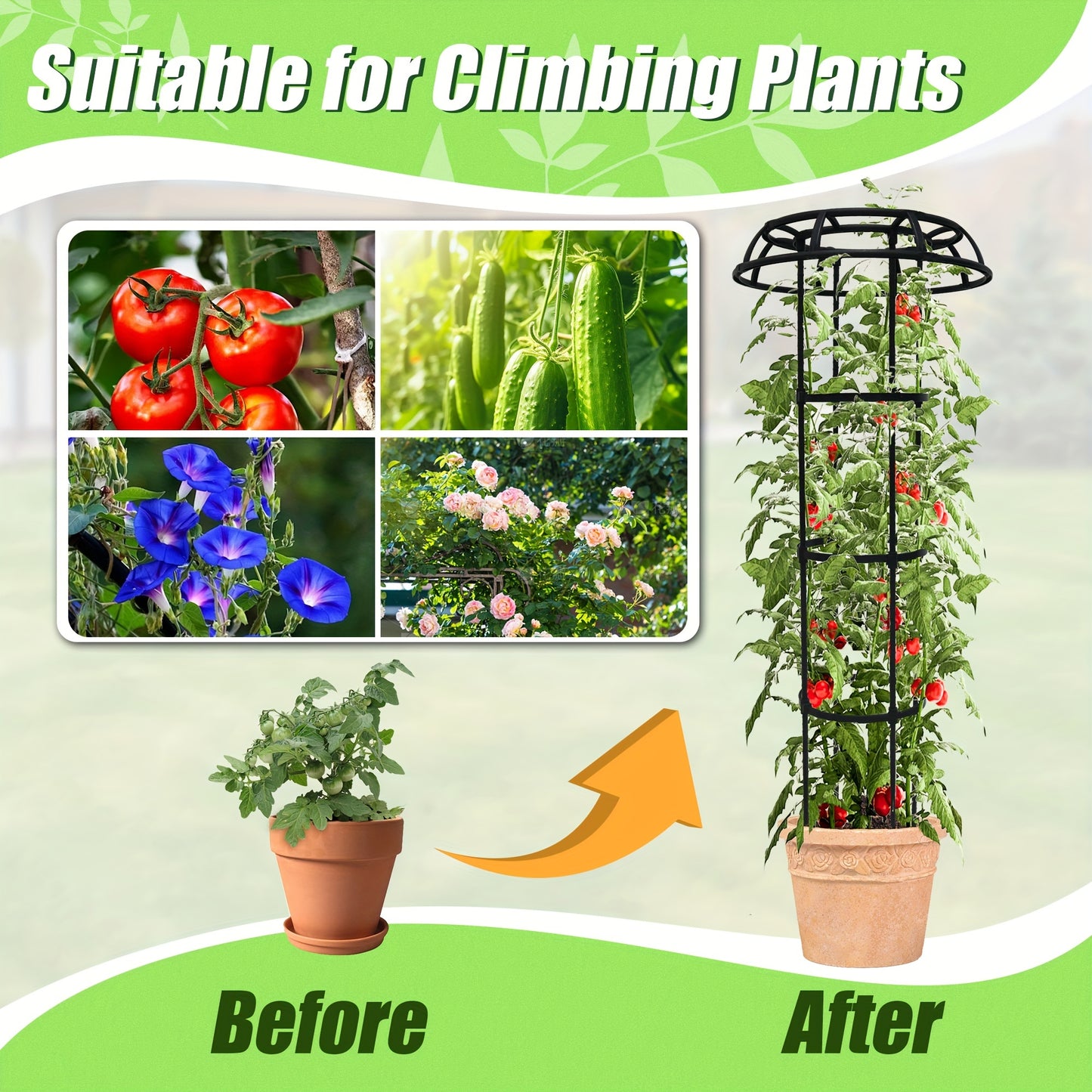 Mushroom Top Climbing Support Frame for Outdoor Vines and Flowers - Parry's Picks