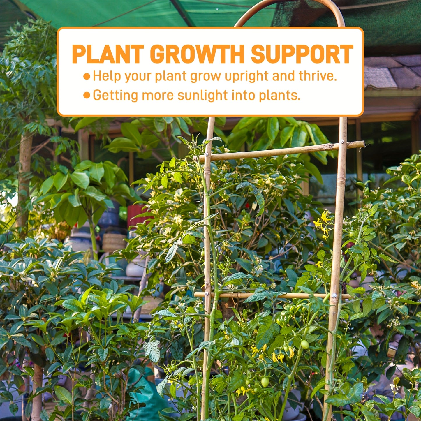 Bamboo U Trellis for Climbing Plants and Indoor Houseplants - Parry's Picks
