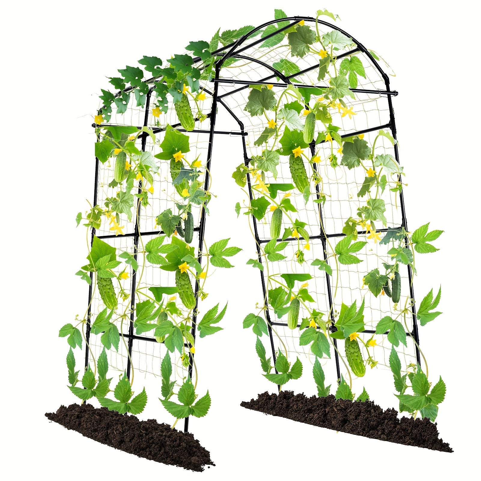Garden Arch Trellis for Climbing Plants and Vines - Parry's Picks