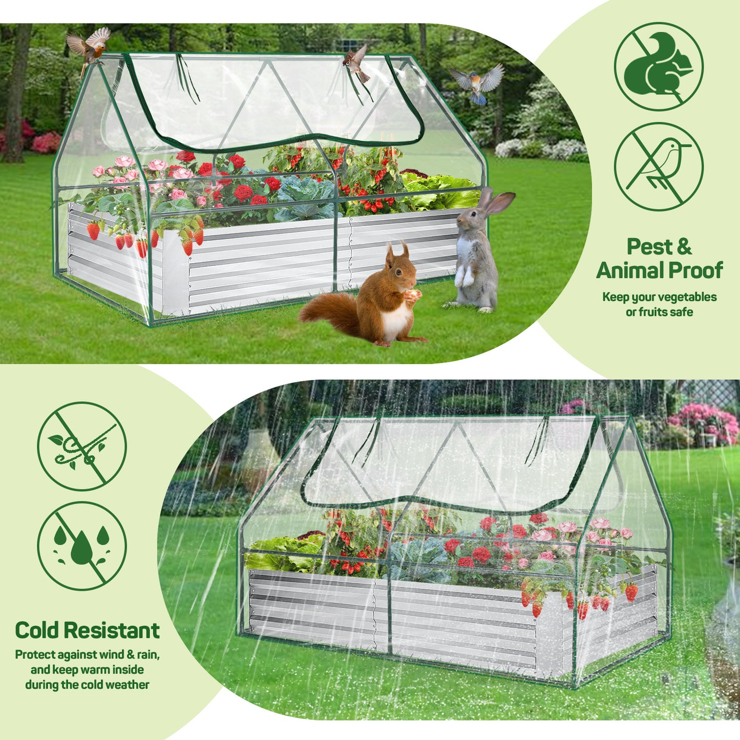 Galvanized Raised Garden Bed With Cover And Greenhouse Kit