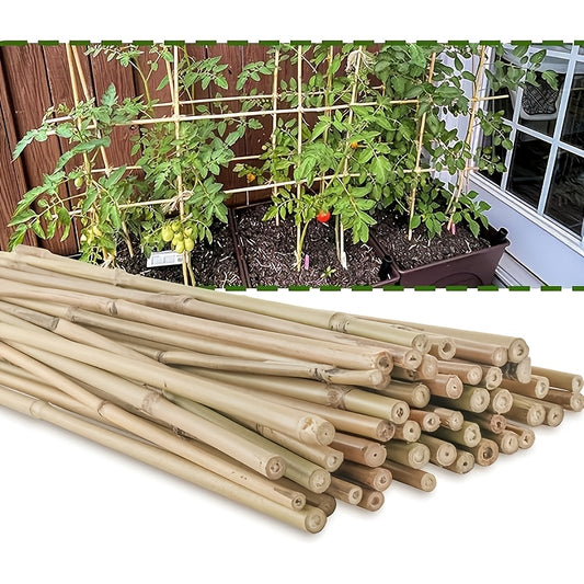 Natural Bamboo Plant Support Stakes for Indoor and Outdoor Gardening - Parry's Picks