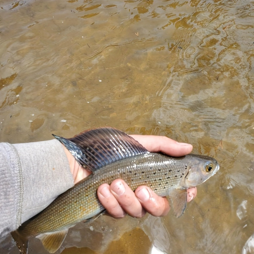 QIEVCRME Fly Fishing Flies Kit 100pcs Dry Wet Lures