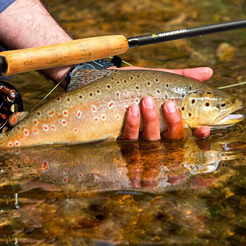 Collapsible Fly Rod and Reel Combo with Line and Flies - Parry's Picks