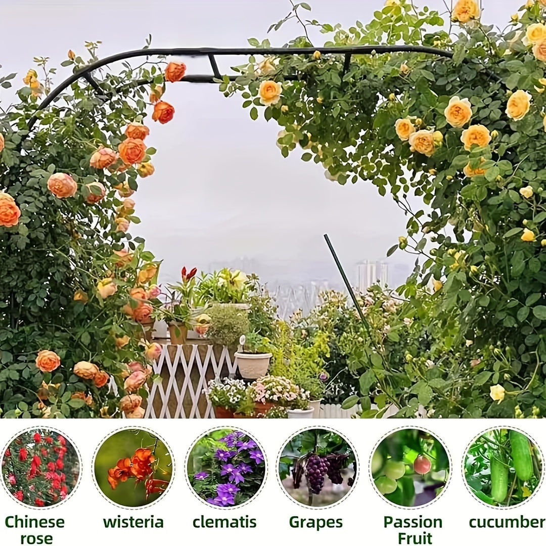 Metal Garden Pavilion Arch for Climbing Plants and Decor - Parry's Picks