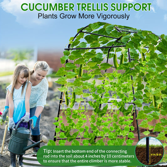 Garden Arch Trellis for Climbing Plants and Vines - Parry's Picks