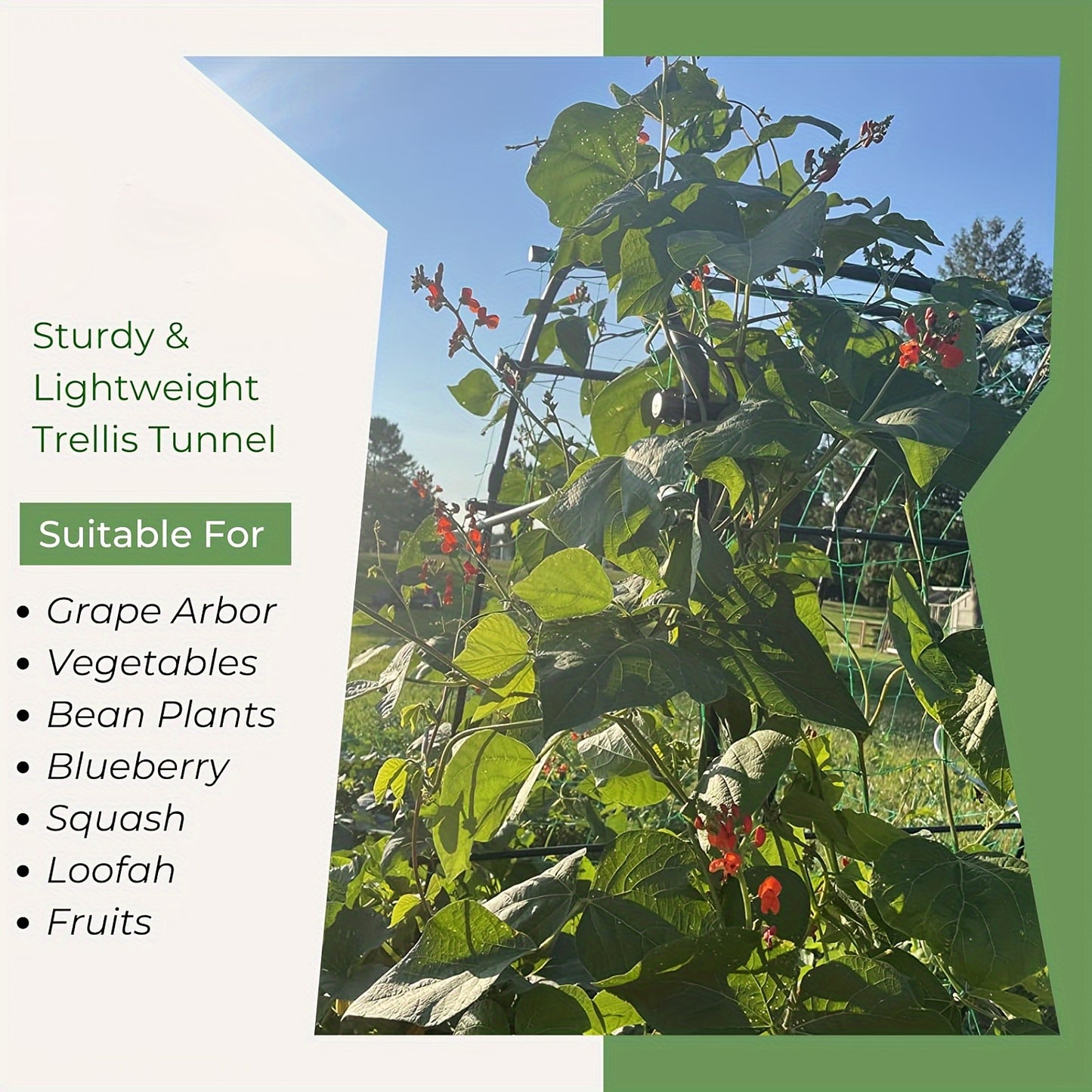 Stainless Steel Climbing Vine Trellis for Elegant Garden Elevation - Parry's Picks