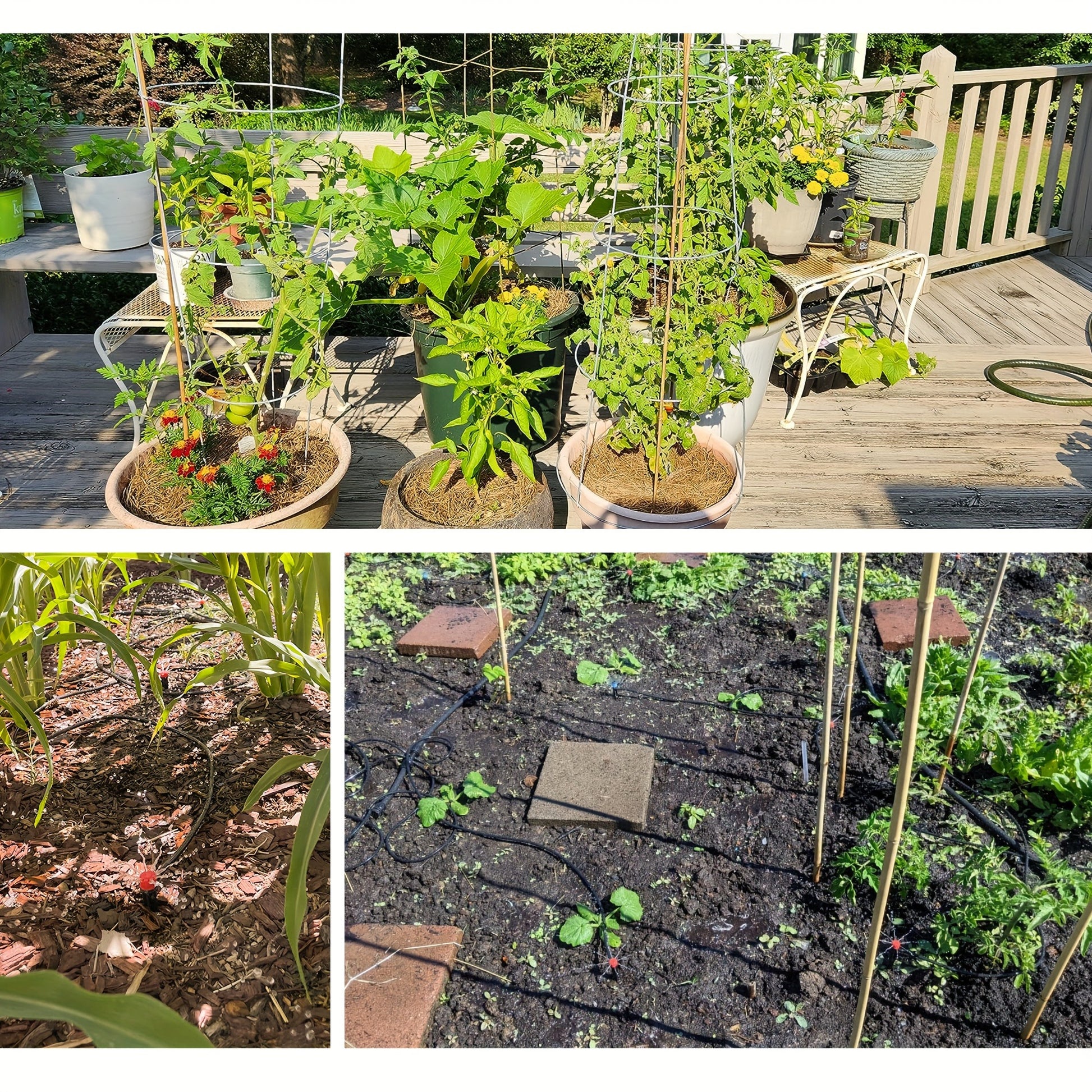 Automatic Drip Irrigation Kit for Effortless Plant Watering - Parry's Picks