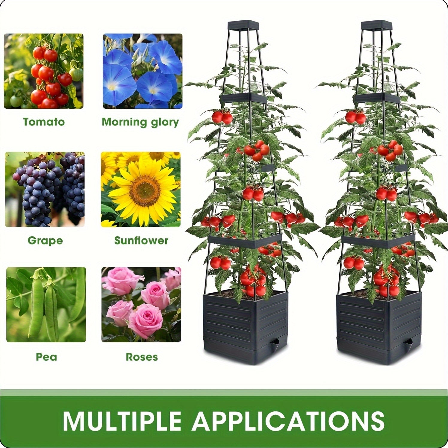 Tomato Planter with Trellis for Climbing Vegetables Gardens - Parry's Picks