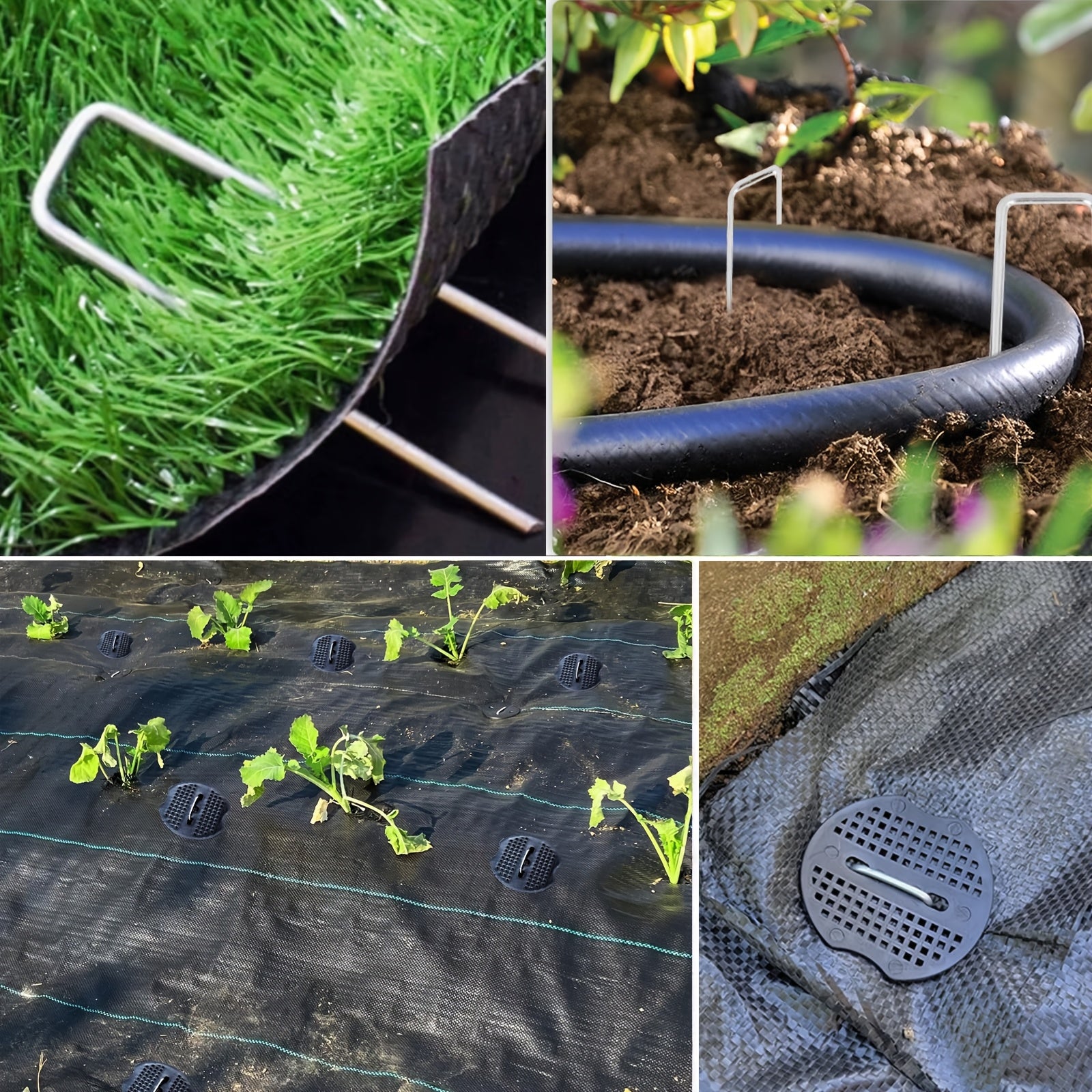 Lawn Landscape Staples Set for Secure Garden Installation - Parry's Picks