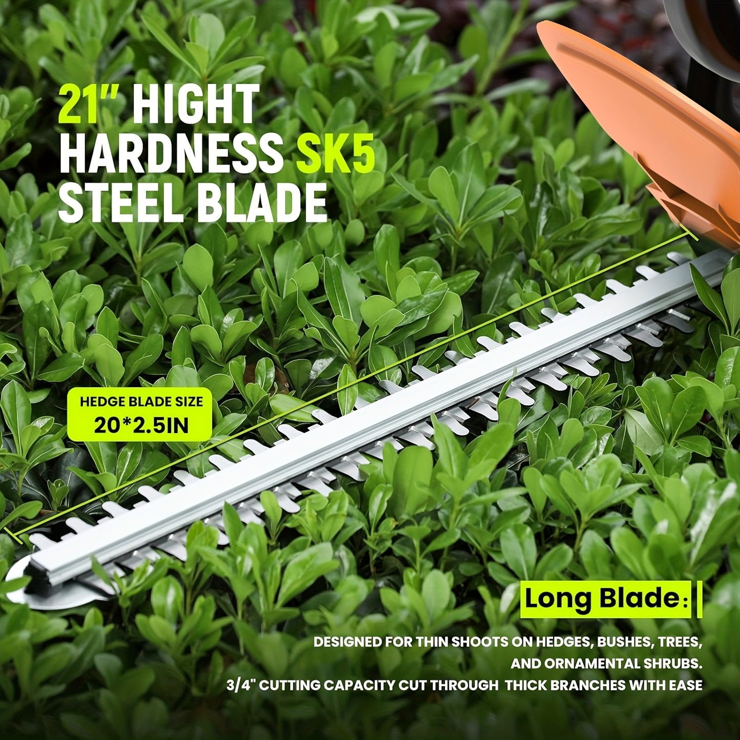 Cordless Hedge Trimmer with Powerful Motor and Long Reach - Parry's Picks