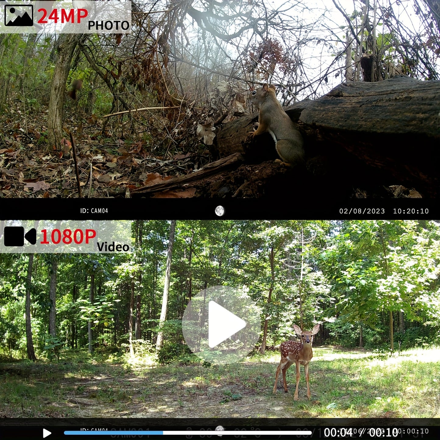 Mini Trail Camera 24MP Night Vision Motion Activated Cam
