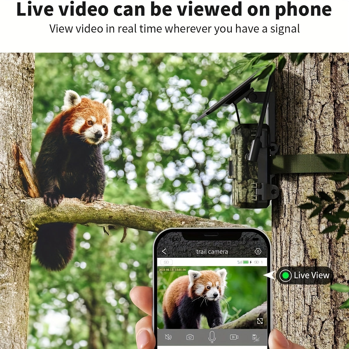4G LTE Cellular Trail Camera With Live View And Solar