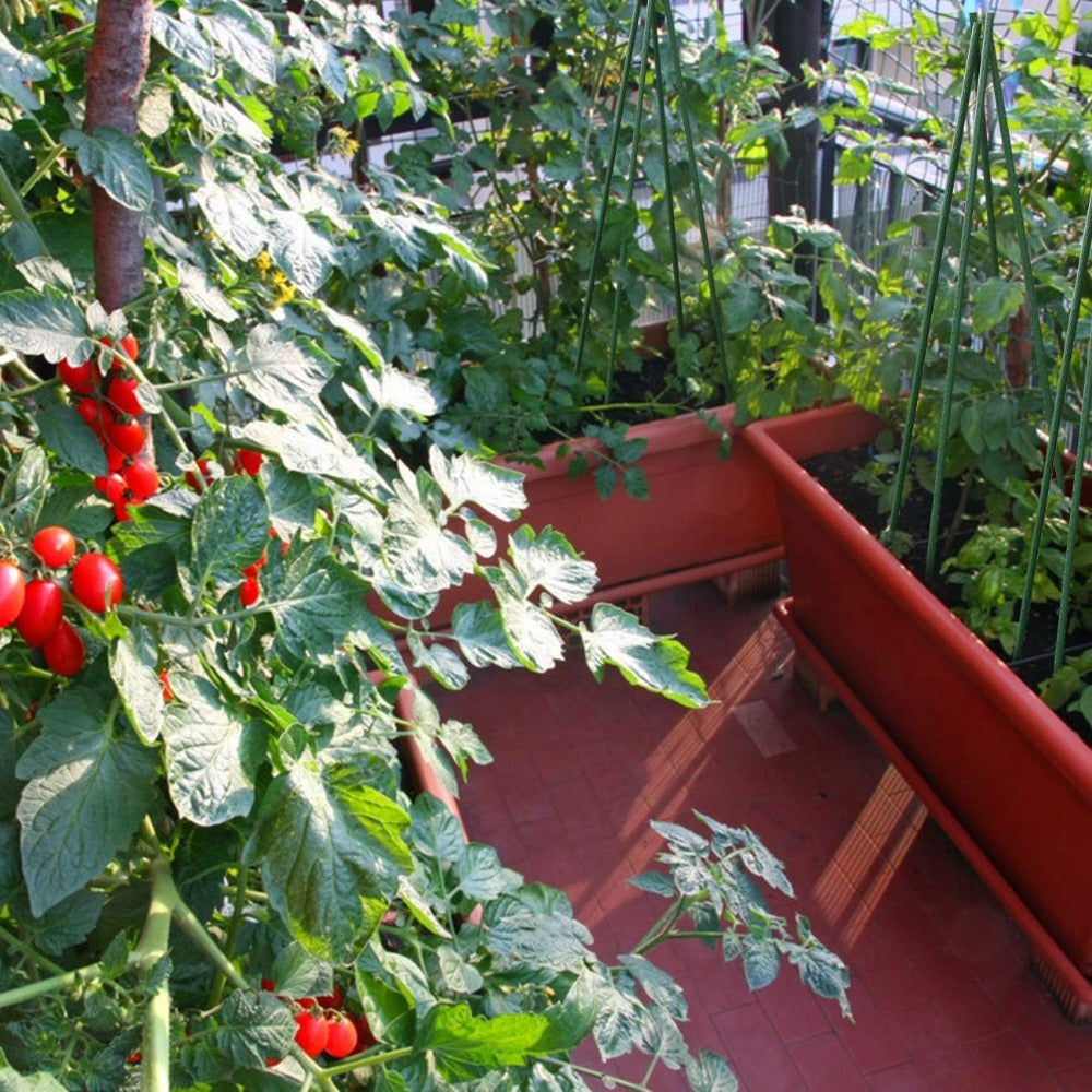 Sturdy Metal Garden Stakes for Plant Support and Stability - Parry's Picks