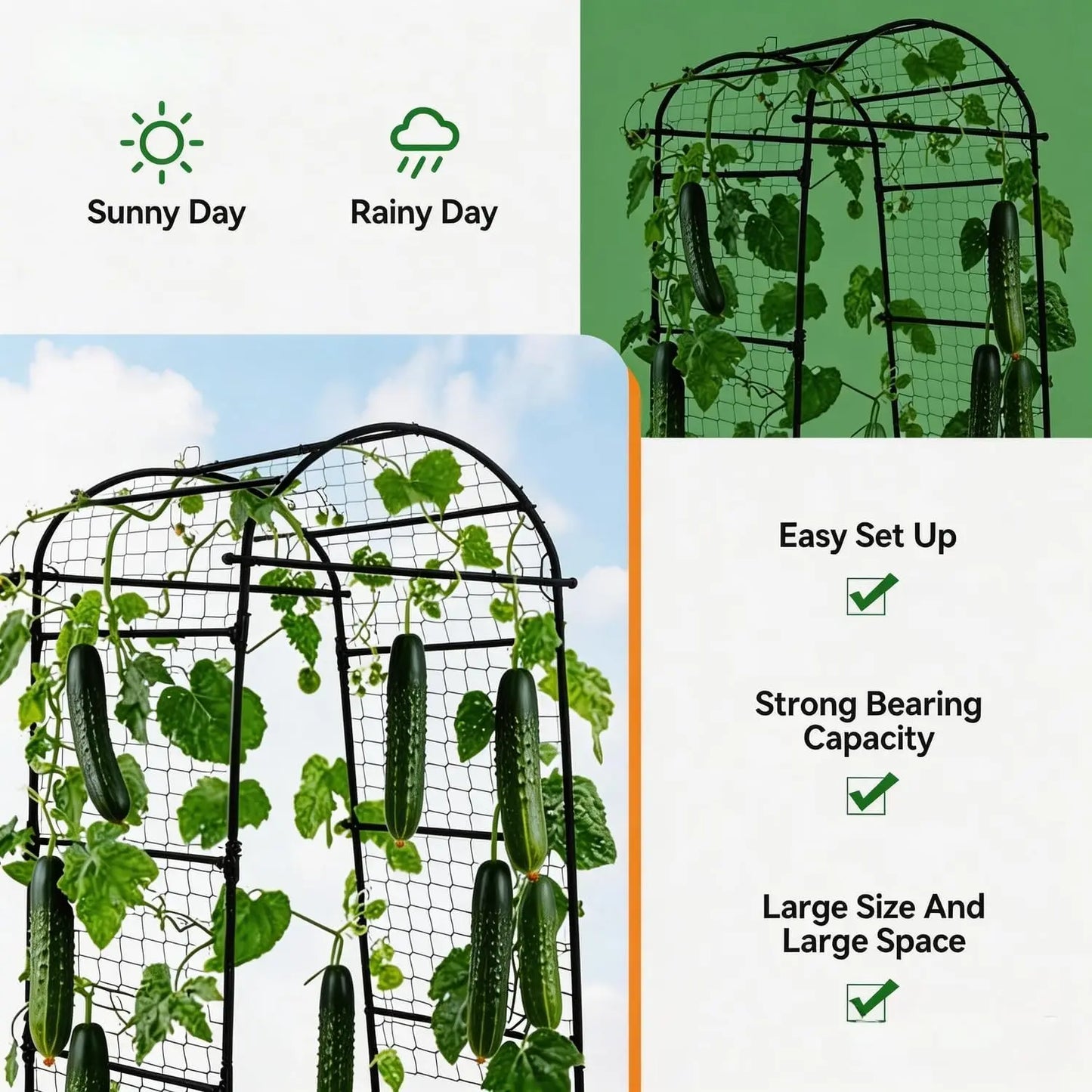 Garden Arch Trellis For Raised Beds Metal Climbing Plant Support