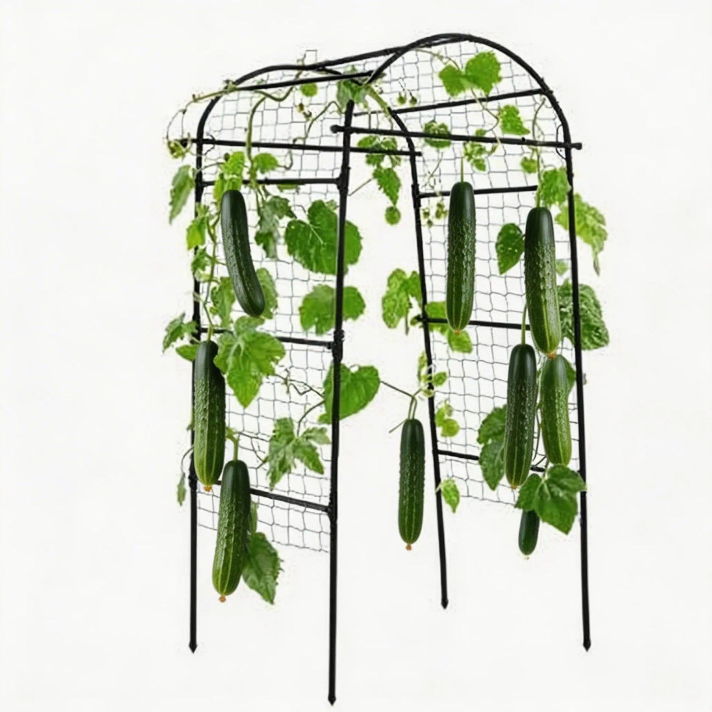 Garden Arch Trellis For Raised Beds Metal Climbing Plant Support