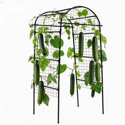 Garden Arch Trellis For Raised Beds Metal Climbing Plant Support - Parry's Picks