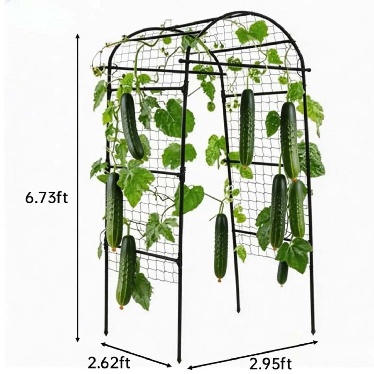 Garden Arch Trellis For Raised Beds Metal Climbing Plant Support
