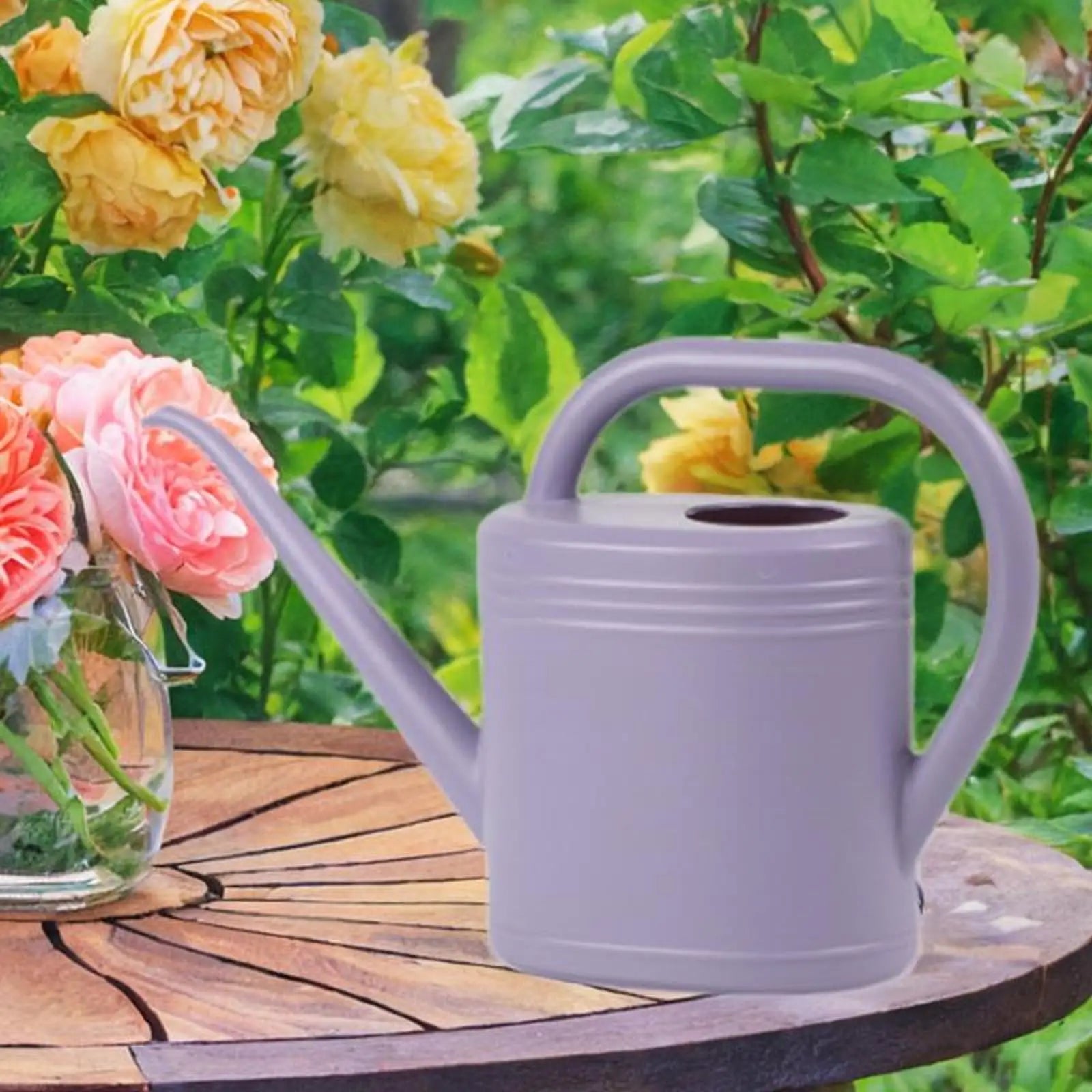 Homyl Long Spout Watering Can With Sprinkler Head - Parry's Picks