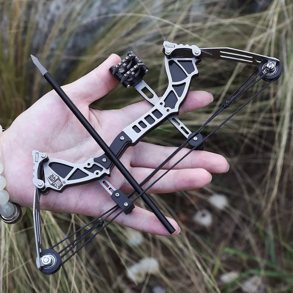 Mini Compound Bow Set 12lb With 12 Arrows For Target Practice
