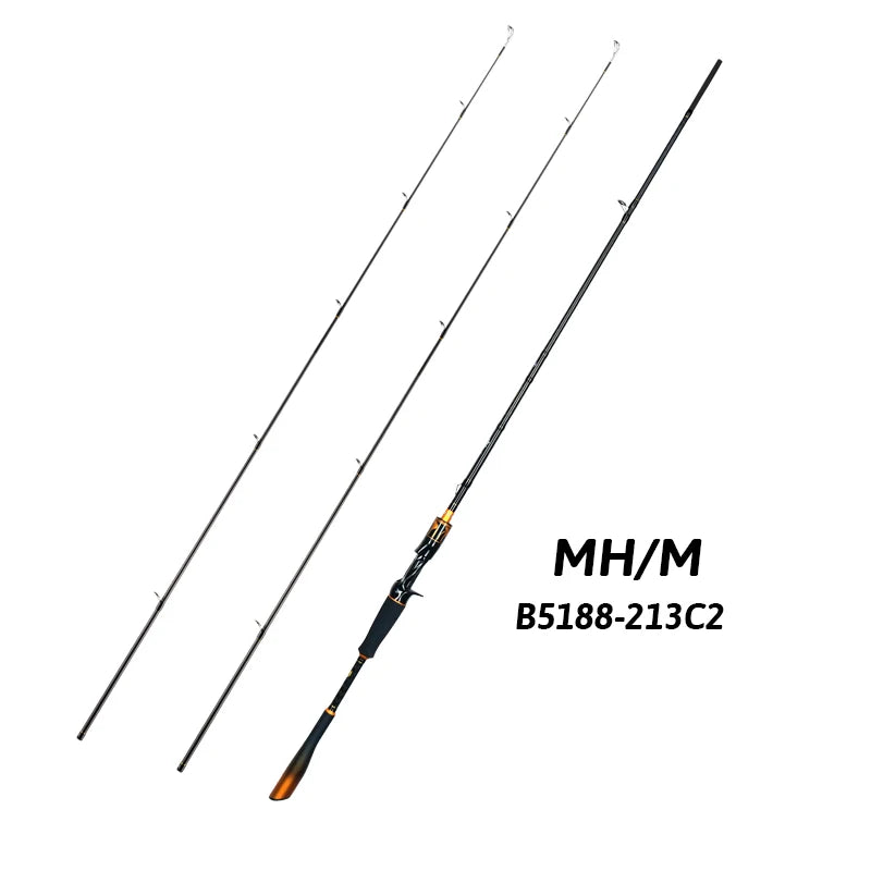 BIUTIFU Carbon Spinning and Casting Fishing Rod with Fuji Guides - Parry's Picks