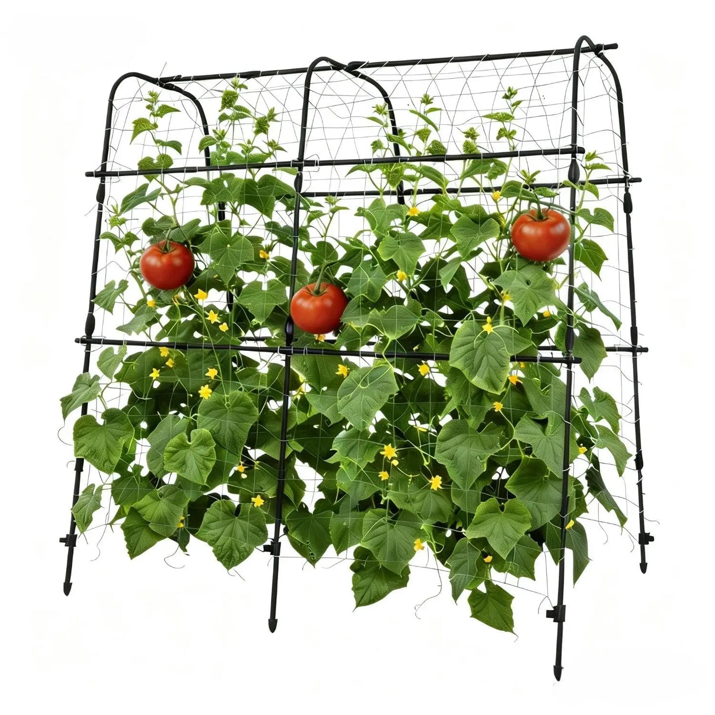 Garden Arch Trellis For Raised Beds Metal Climbing Plant Support