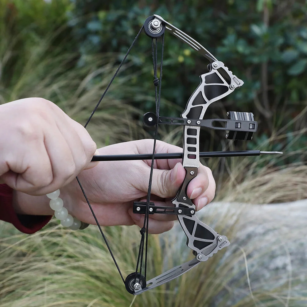 Mini Compound Bow Set 12lb With 12 Arrows For Target Practice